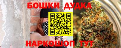 МДПВ Будённовск