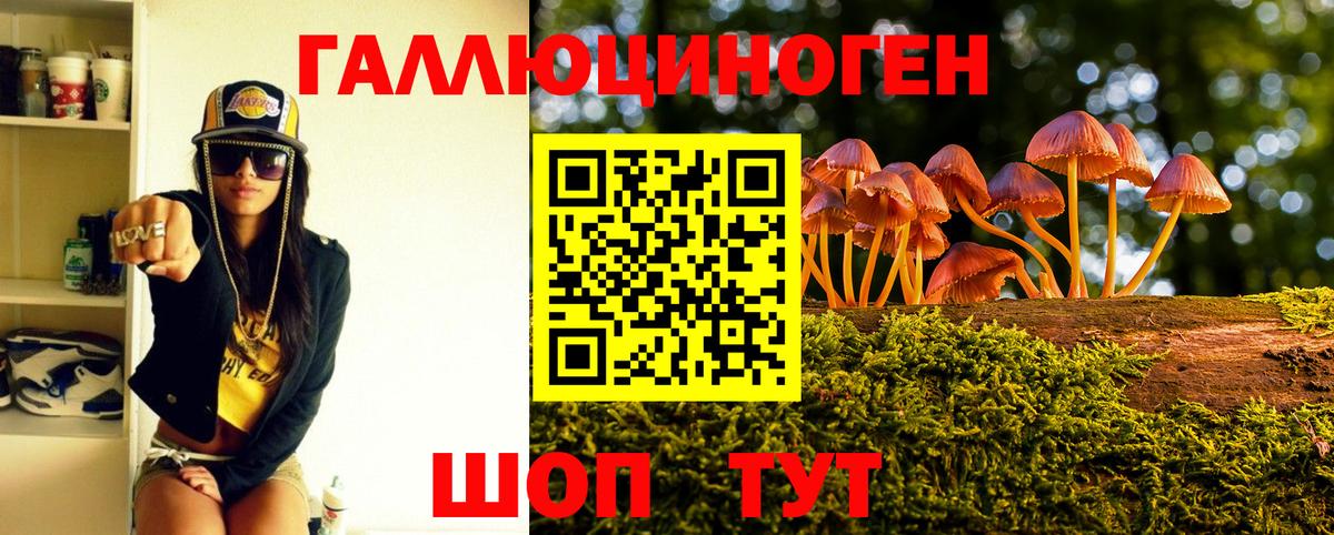 Янаул  как найти наркотики  Вход с VPN  Галлюциногенные грибы Psilocybe 